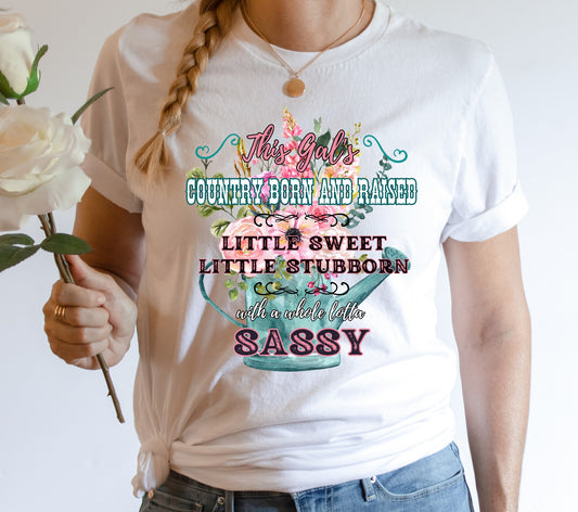 Country Born Sweet, Stubborn & Sassy watering can T-Shirt (Multiple Colors)