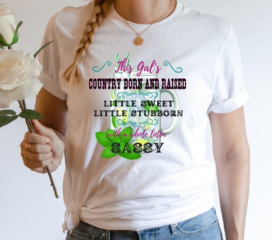 Country Born Sweet, Stubborn & Sassy Lemonade T-Shirt (Multiple Colors)